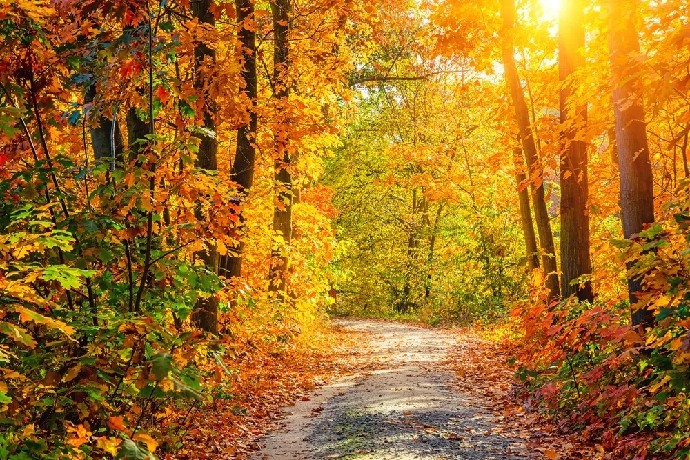 Best fall trips to take in Maryland